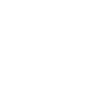 Crane with Operator Services